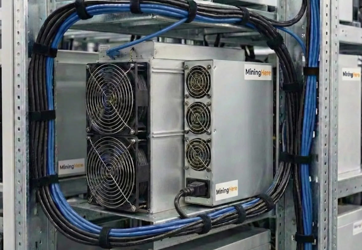 Professional Cabling